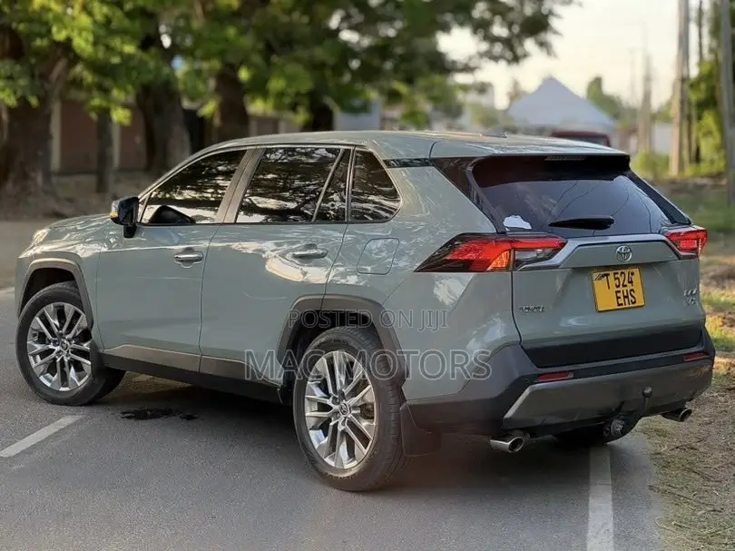 Toyota RAV4 2020 Gray