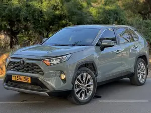 Toyota RAV4 2020 Gray