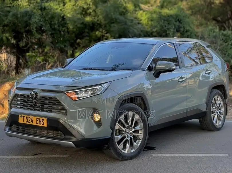 Toyota RAV4 2020 Gray