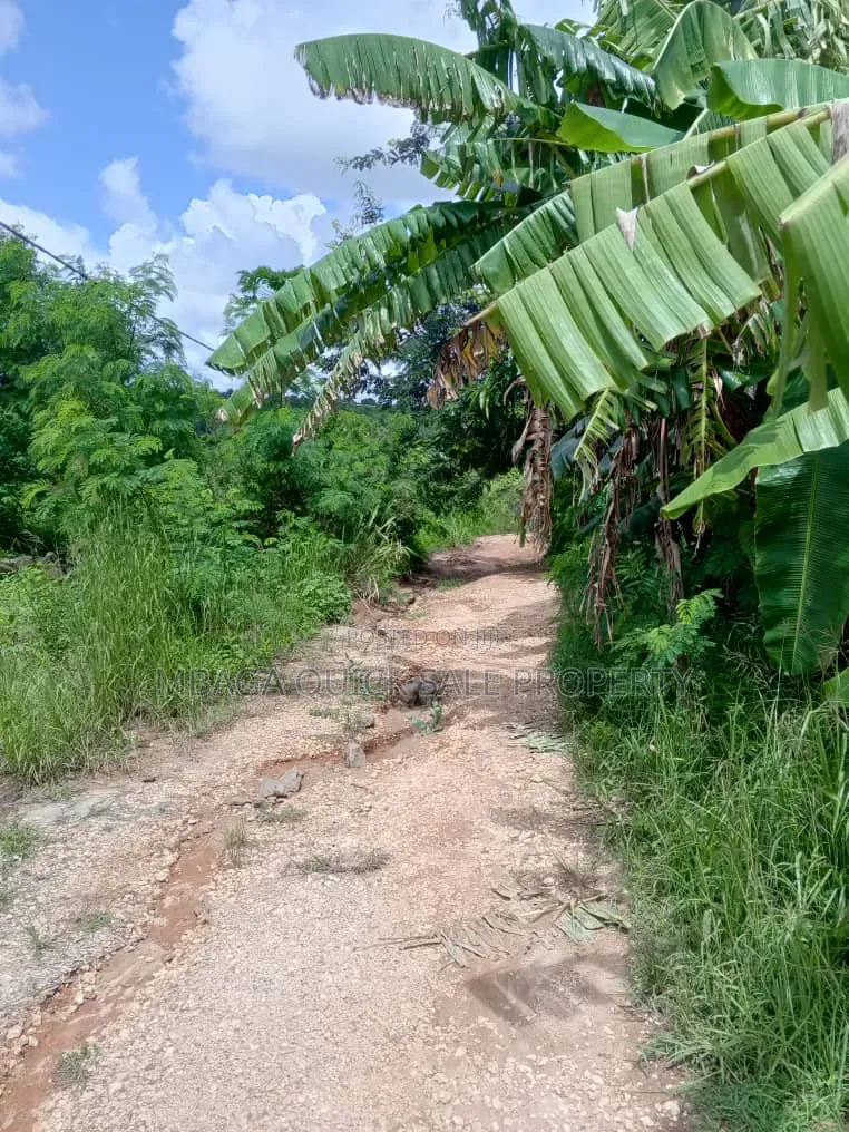 Farm for Sale at Mkuranga Kiparang'anda 70 Acres