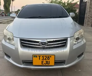 Toyota Axio 2009 Silver