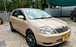Toyota Corolla RunX 2002 Gold