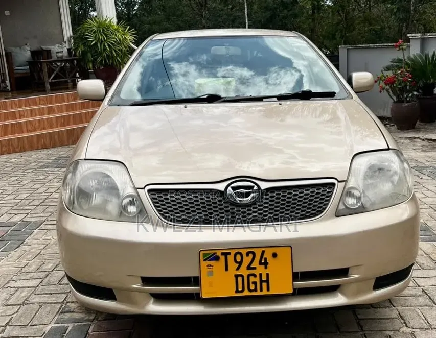 Toyota Corolla RunX 2002 Gold