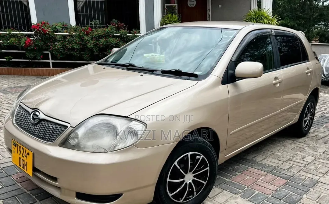 Toyota Corolla RunX 2002 Gold
