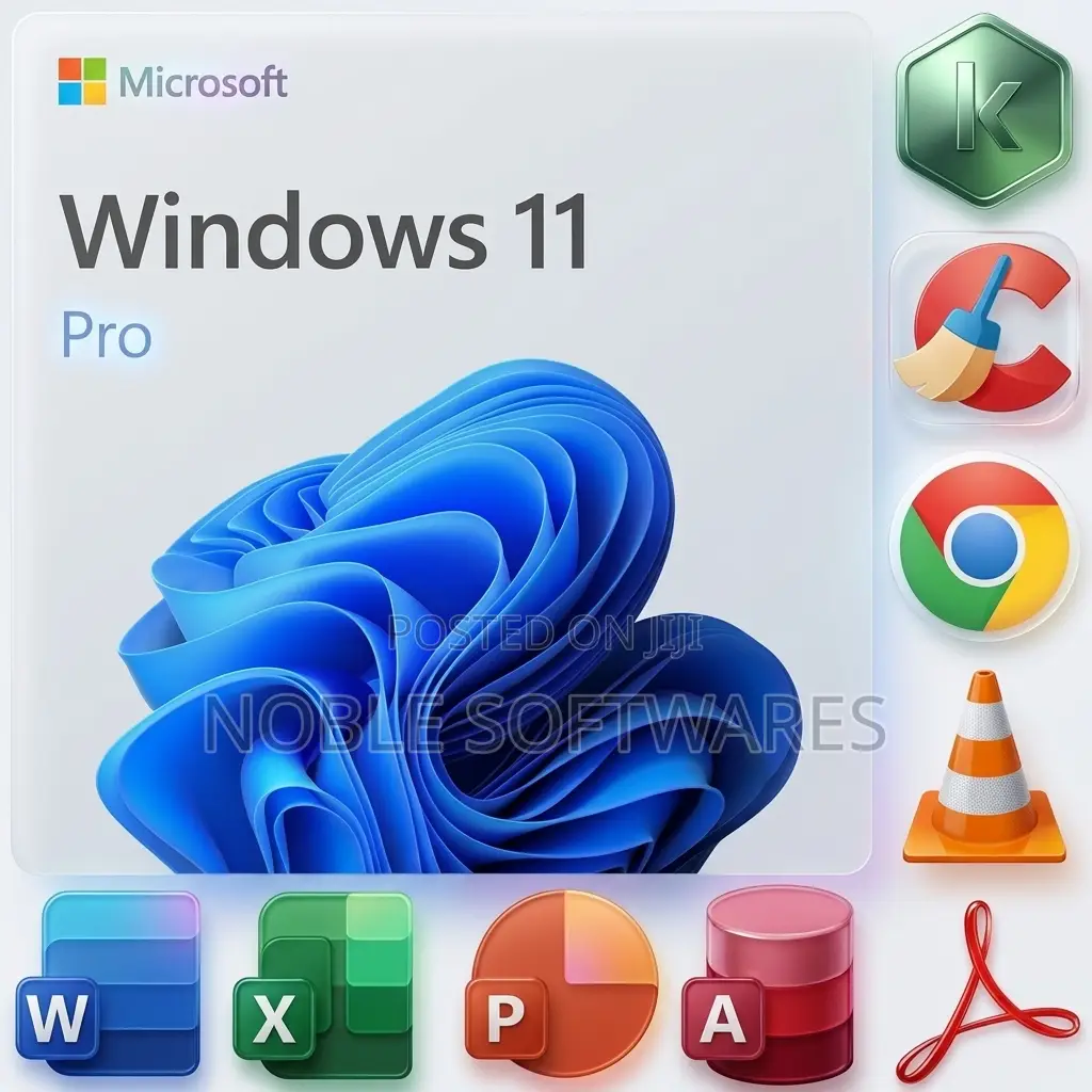 Windows 11 Pro + Microsoft Office 2024 LTSC + Basic Programs