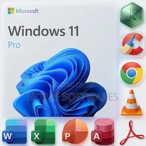 Windows 11 Pro + Microsoft Office 2024 LTSC + Basic Programs