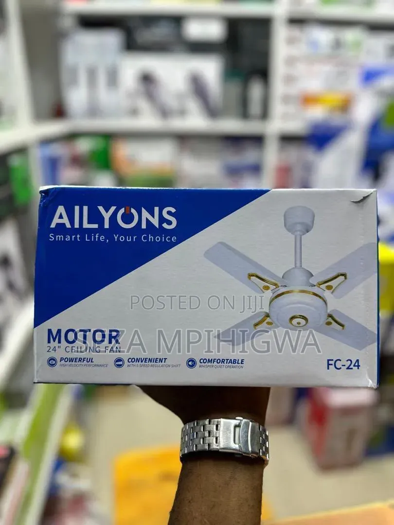 ailyons Ceiling Fan size 24”