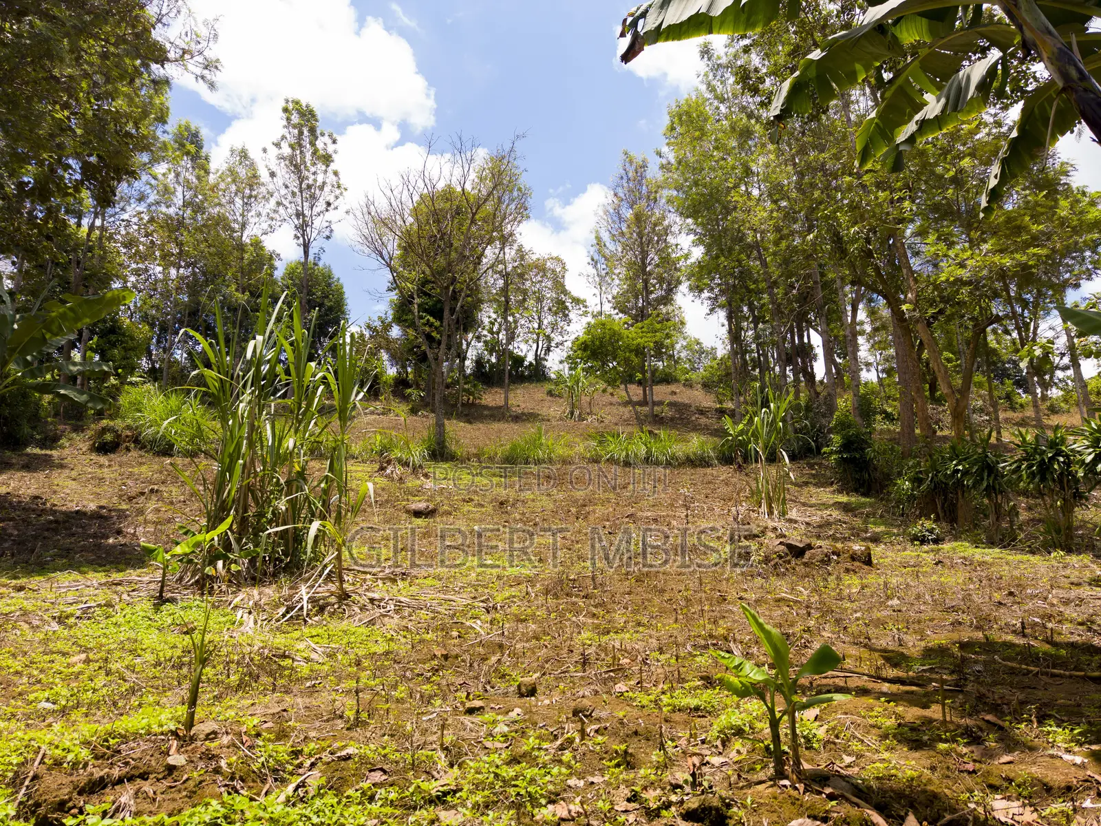 Land for Sale