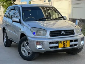 Toyota RAV4 2004 Silver