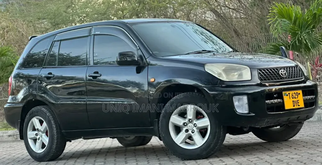 Toyota RAV4 2001 Black