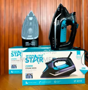 Winning Star 2500W Steam Iron (Model ST-6153),