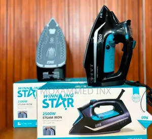 Winning Star 2500W Steam Iron (Model ST-6153),