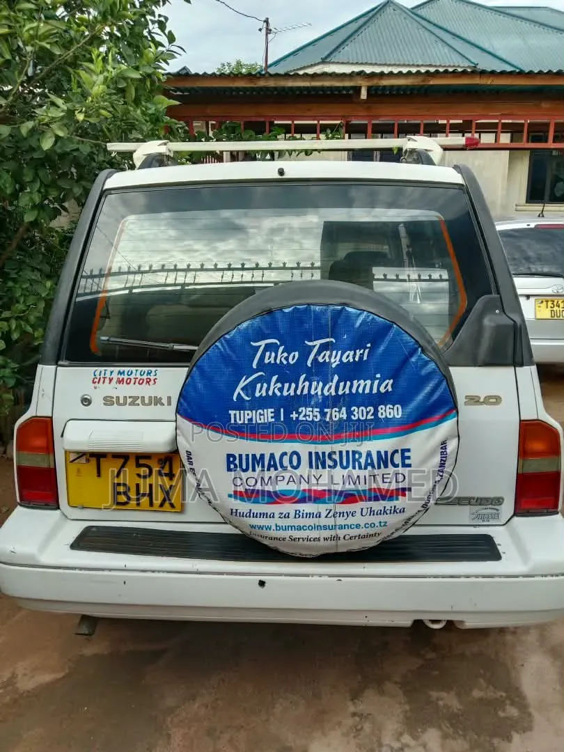 Suzuki Escudo 2002 White