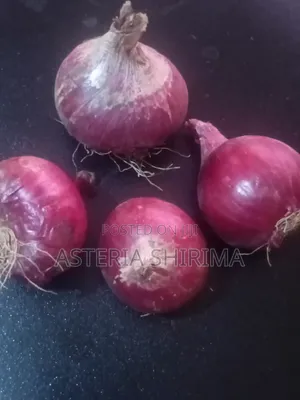 Red Onion