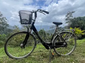 Batavus Citybicycle for Sale