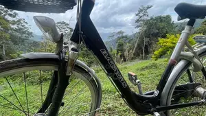 Batavus Citybicycle for Sale