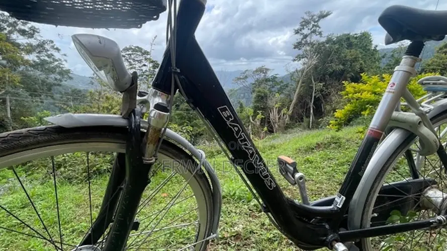 Batavus Citybicycle for Sale