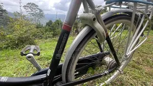 Batavus Citybicycle for Sale
