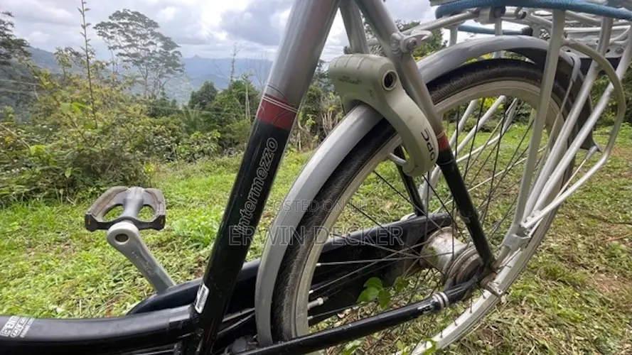 Batavus Citybicycle for Sale