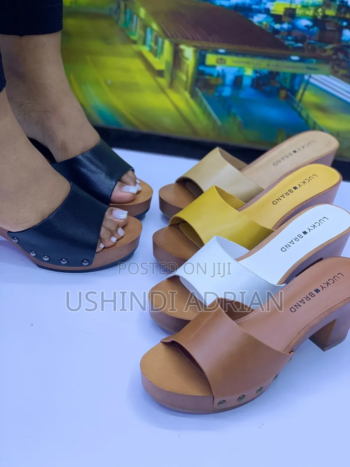 **séndora Women’s Shoes****new Arrivals!**