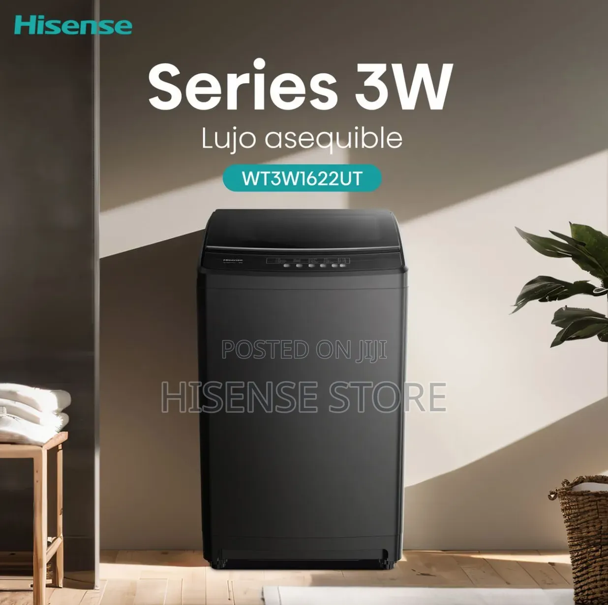 Hisense 16kg Fully Automatic Top Load Washing Machine WT3W1622UB