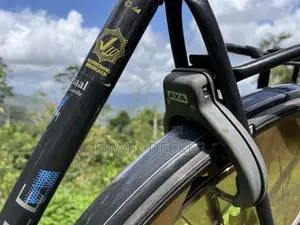 High Quality Gazelle City Bicycle