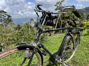 High Quality Gazelle City Bicycle