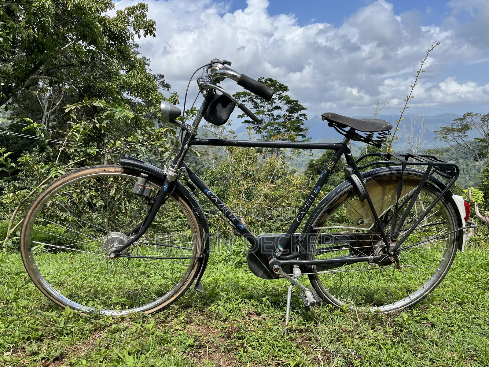 High Quality Gazelle City Bicycle