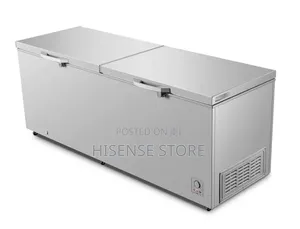 Hisense 500L Double Door Chest Freezer (Model: FC-66DD)