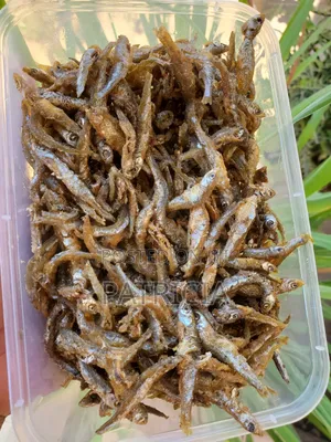Dagaa Wa Mwanza