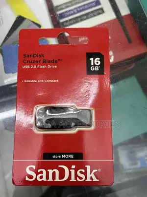 Sandisk(Flash)