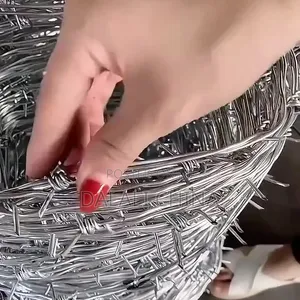 Anti-Theft Barbed Wire Fance