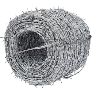 Anti-Theft Barbed Wire Fance