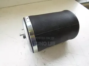 BMW X5 Rear Air Suspension