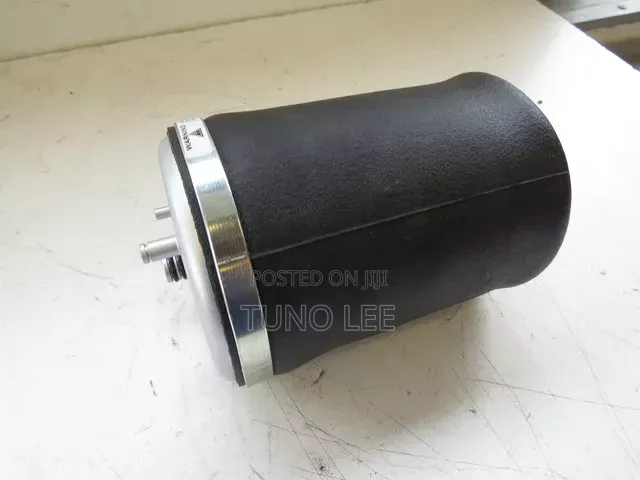 BMW X5 Rear Air Suspension