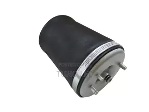 BMW X5 Rear Air Suspension