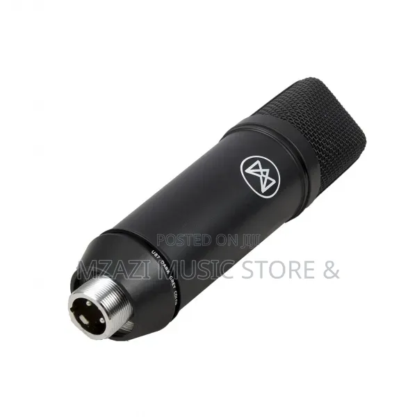 MWN Studio Condenser Microphone