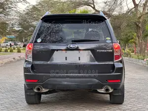 Subaru Forester 2010 Gray