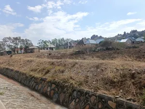 Plot With 1.5 Acres for Sale in Mwanza Buhongwa
