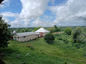 Shamba La Ekari 6000 Linauzwa Pangani