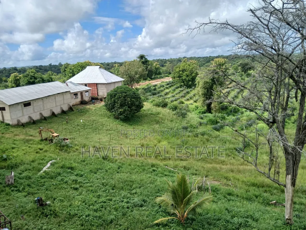 Shamba La Ekari 6000 Linauzwa Pangani