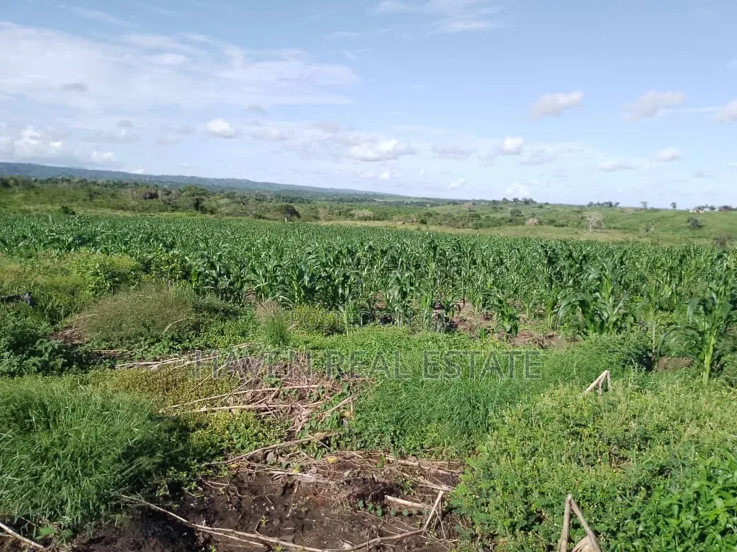 Shamba La Ekari 6000 Linauzwa Pangani