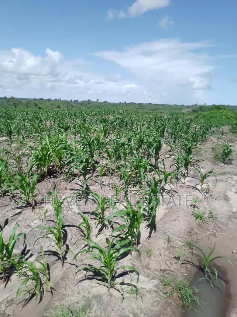Shamba La Ekari 6000 Linauzwa Pangani