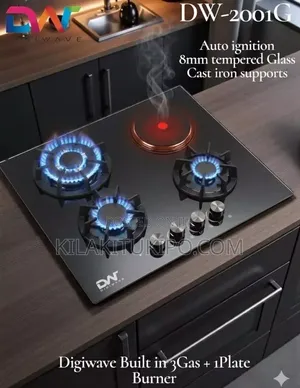 Dw-2001g 3gas Build In,with 1 Electric Plate Burner