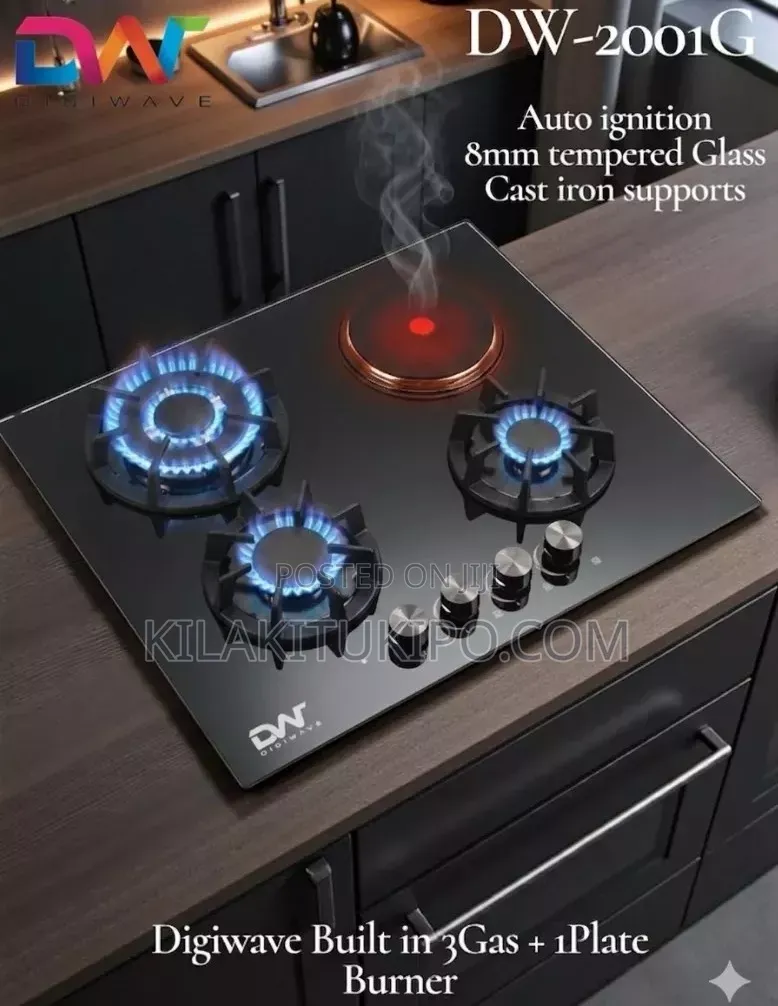 Dw-2001g 3gas Build In,with 1 Electric Plate Burner