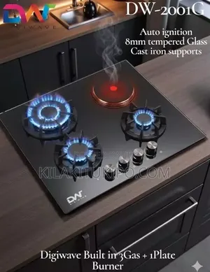 Dw-2001g 3gas Build In,with 1 Electric Plate Burner