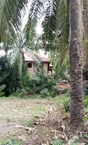 Kiwanja Kinauzwa Mbezi