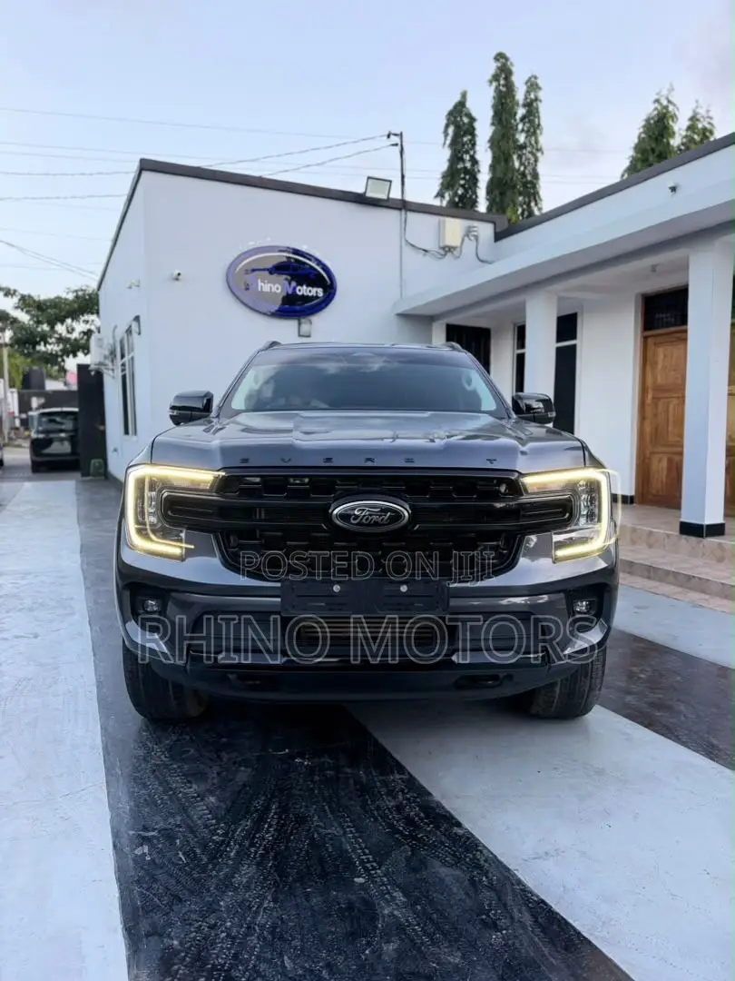 Ford Everest 2024 Gray
