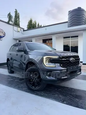 Ford Everest 2024 Gray
