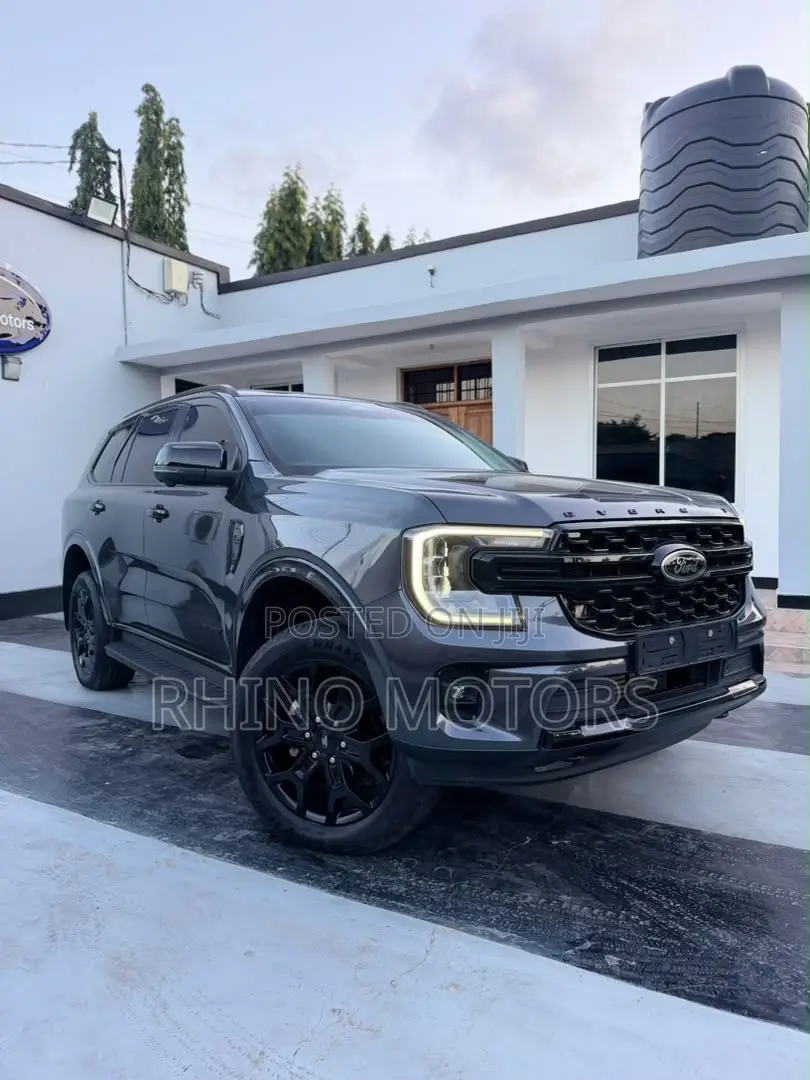 Ford Everest 2024 Gray